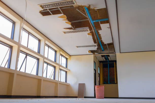 Best Mold removal after water damage  in Whetstone, AZ
