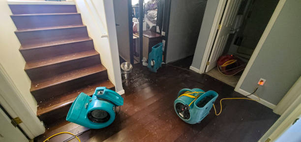 Best Water damage restoration near me  in Whetstone, AZ