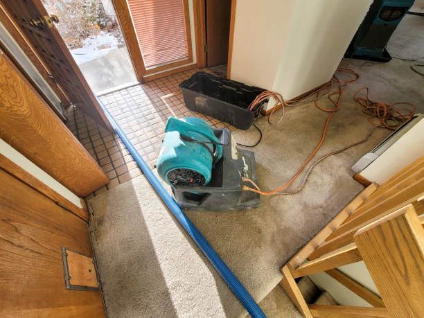 Best Basement water damage restoration  in Whetstone, AZ