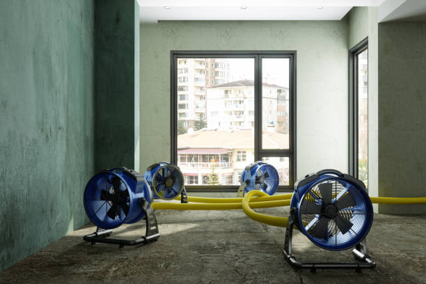 Best Sewage cleanup and water damage restoration  in Whetstone, AZ